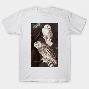 Bird of America  Bird, bird lover, america, beautiful  Public domain painting by John James Audubon T-Shirt